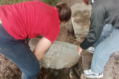 07